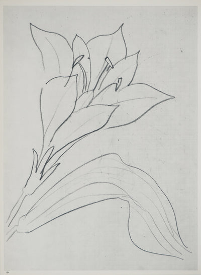 Georges BRAQUE : Bouquet d'iris en fleurs, Héliogravure originale (photo de détail 6) - Crédit photo : Galerie Art.Paris