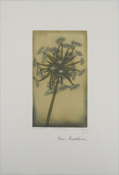 Jacques Jean Joachim RIGALE : Le salsifis des prés, Gravure originale (vue générale) - Crédit photo : Galerie Art.Paris