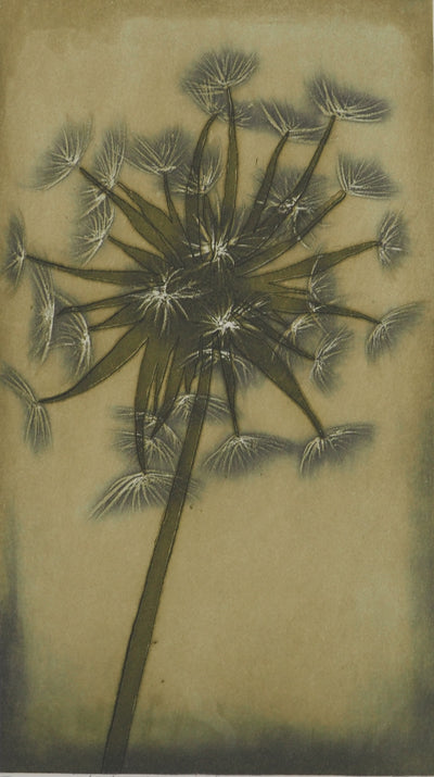 Jacques Jean Joachim RIGALE : Le salsifis des prés, Gravure originale (photo de détail 3) - Crédit photo : Galerie Art.Paris