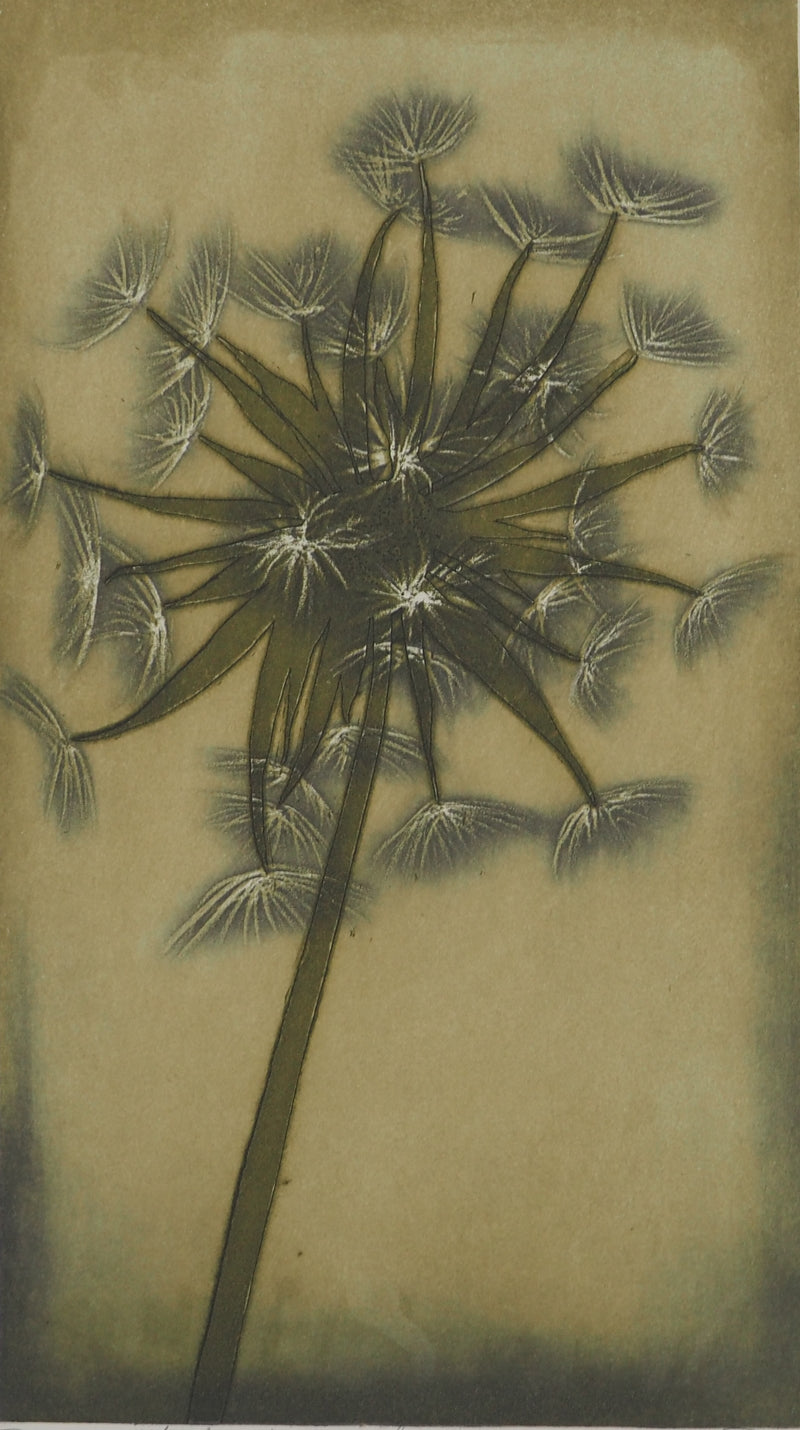 Jacques Jean Joachim RIGALE : Le salsifis des prés, Gravure originale (photo de détail 3) - Crédit photo : Galerie Art.Paris