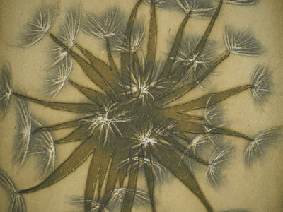 Jacques Jean Joachim RIGALE : Le salsifis des prés, Gravure originale (photo de détail 4) - Crédit photo : Galerie Art.Paris