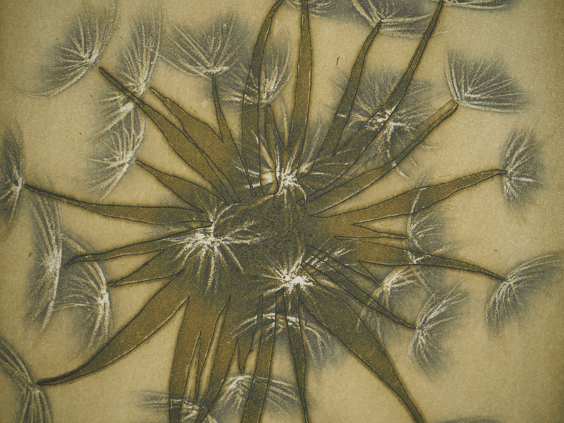 Jacques Jean Joachim RIGALE : Le salsifis des prés, Gravure originale (photo de détail 4) - Crédit photo : Galerie Art.Paris