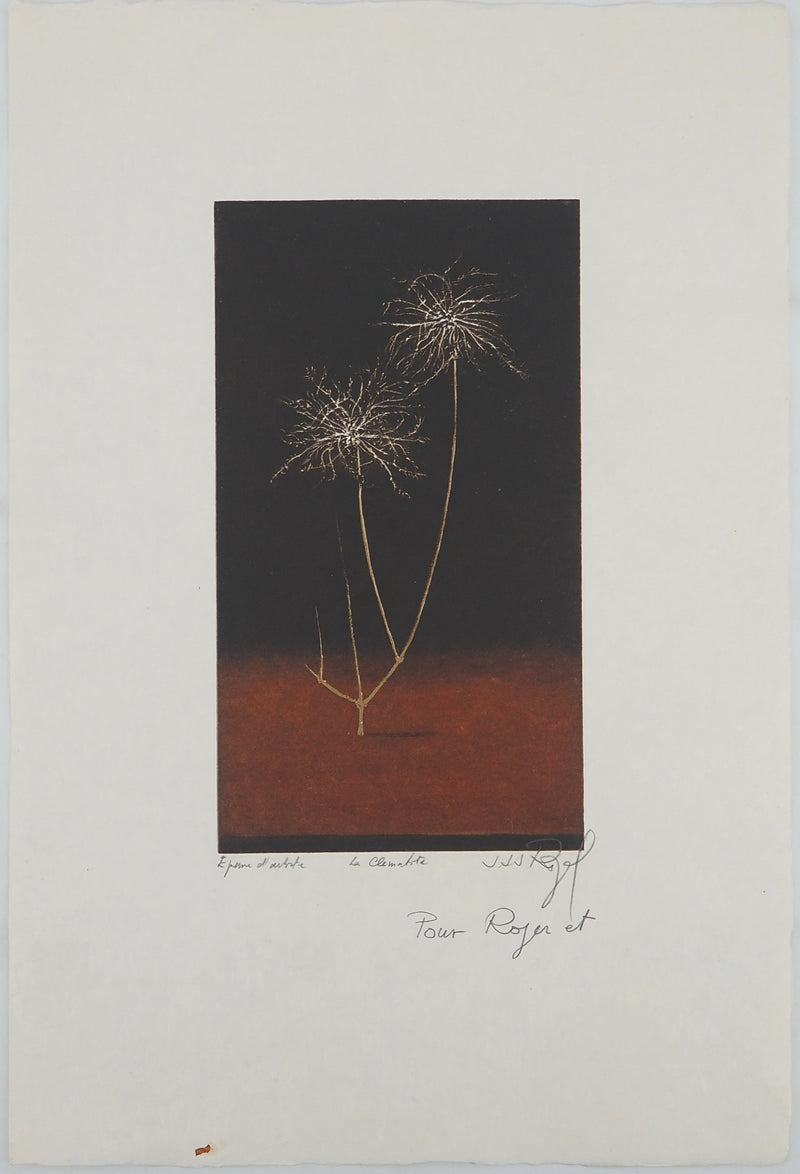Jacques Jean Joachim RIGALE : La clématite, Gravure originale (vue générale) - Crédit photo : Galerie Art.Paris