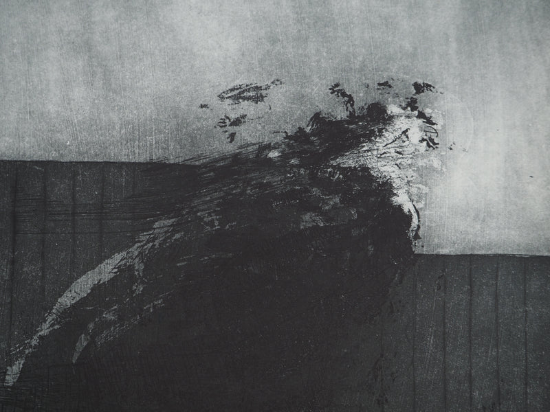 Daniel AIRAM : Théâtre de vie, Gravure originale (photo de détail 6) - Crédit photo : Galerie Art.Paris