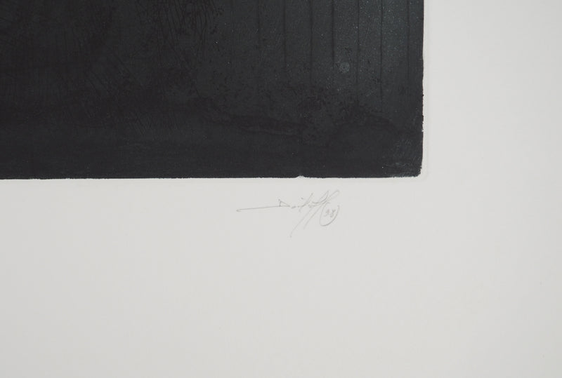 Daniel AIRAM : Théâtre de vie, Gravure originale (photo de détail 2) - Crédit photo : Galerie Art.Paris