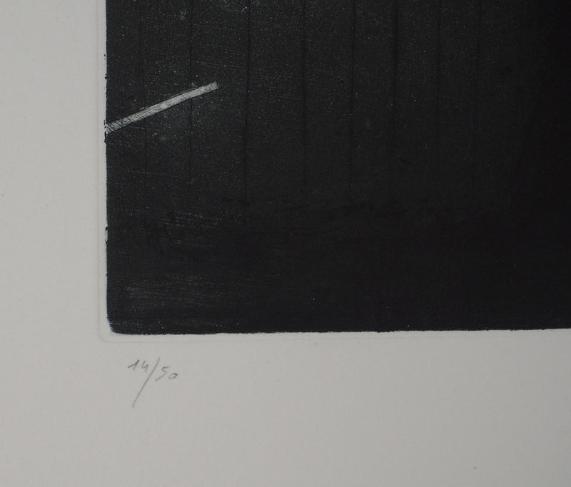 Daniel AIRAM : Théâtre de vie, Gravure originale (photo de détail 7) - Crédit photo : Galerie Art.Paris