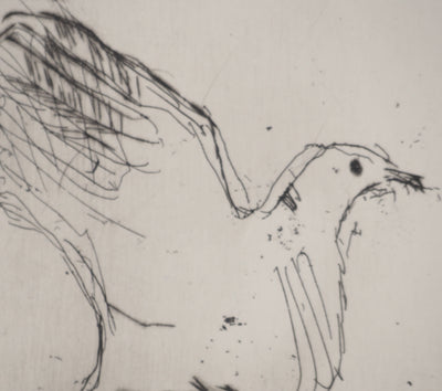 Jacques VILLON : Tourterelle de la paix, Gravure originale (photo de détail 4) - Crédit photo : Galerie Art.Paris