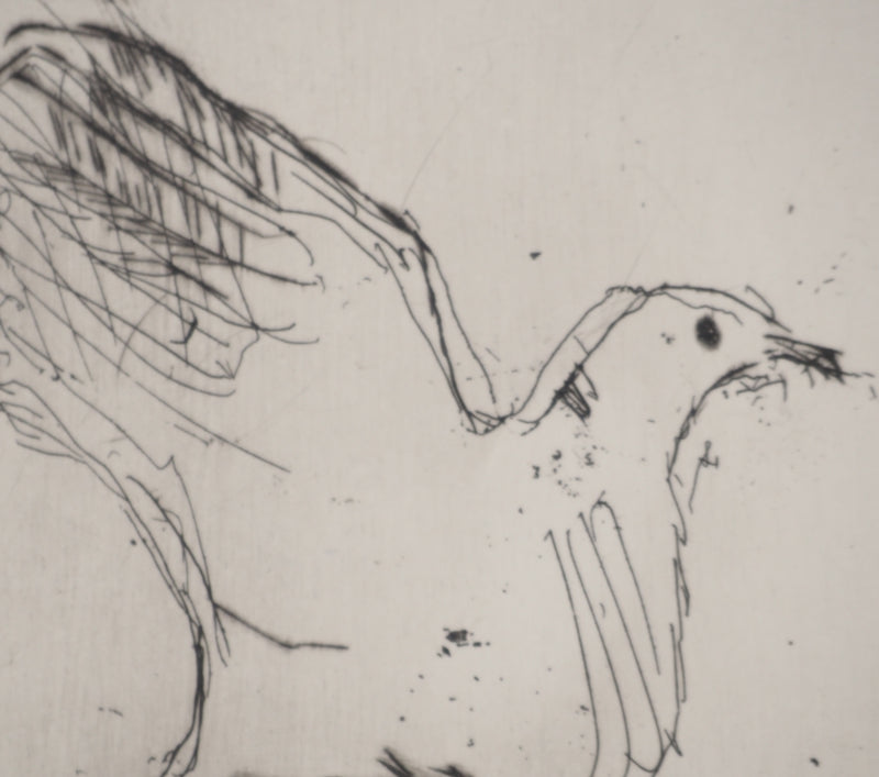 Jacques VILLON : Tourterelle de la paix, Gravure originale (photo de détail 4) - Crédit photo : Galerie Art.Paris