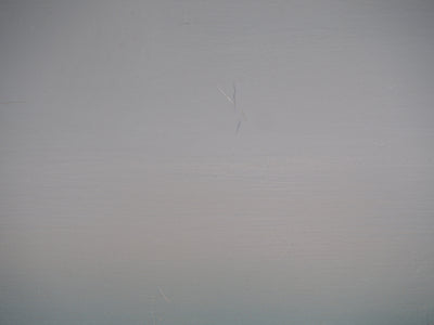 Bernard LOUEDIN : Légèreté, Plumes dans le vent, Tableau original (photo de détail 11) - Crédit photo : Galerie Art.Paris