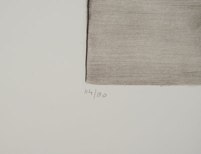 Annapia ANTONINI : Nature morte aux fruits, Gravure originale (photo de détail 5) - Crédit photo : Galerie Art.Paris