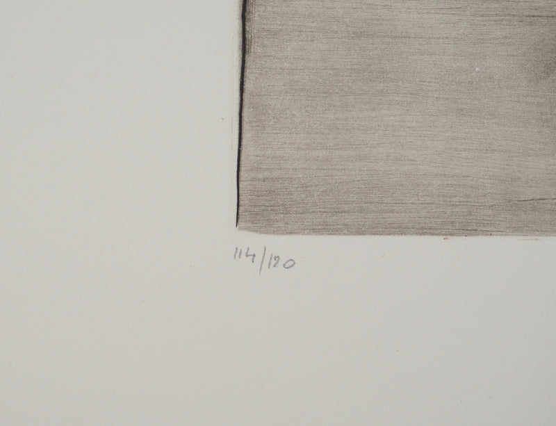 Annapia ANTONINI : Nature morte aux fruits, Gravure originale (photo de détail 5) - Crédit photo : Galerie Art.Paris