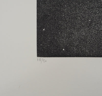 Jacques HOUPLAIN : Zodiaque : la balance, Gravure originale (photo de détail 5) - Crédit photo : Galerie Art.Paris