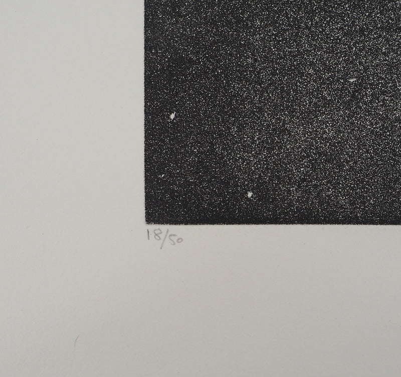 Jacques HOUPLAIN : Zodiaque : la balance, Gravure originale (photo de détail 5) - Crédit photo : Galerie Art.Paris