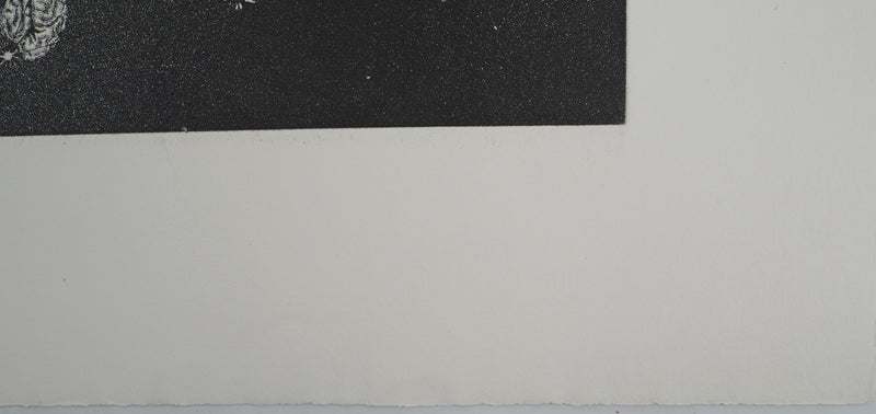 Jacques HOUPLAIN : Zodiaque : la balance, Gravure originale (photo de détail 7) - Crédit photo : Galerie Art.Paris