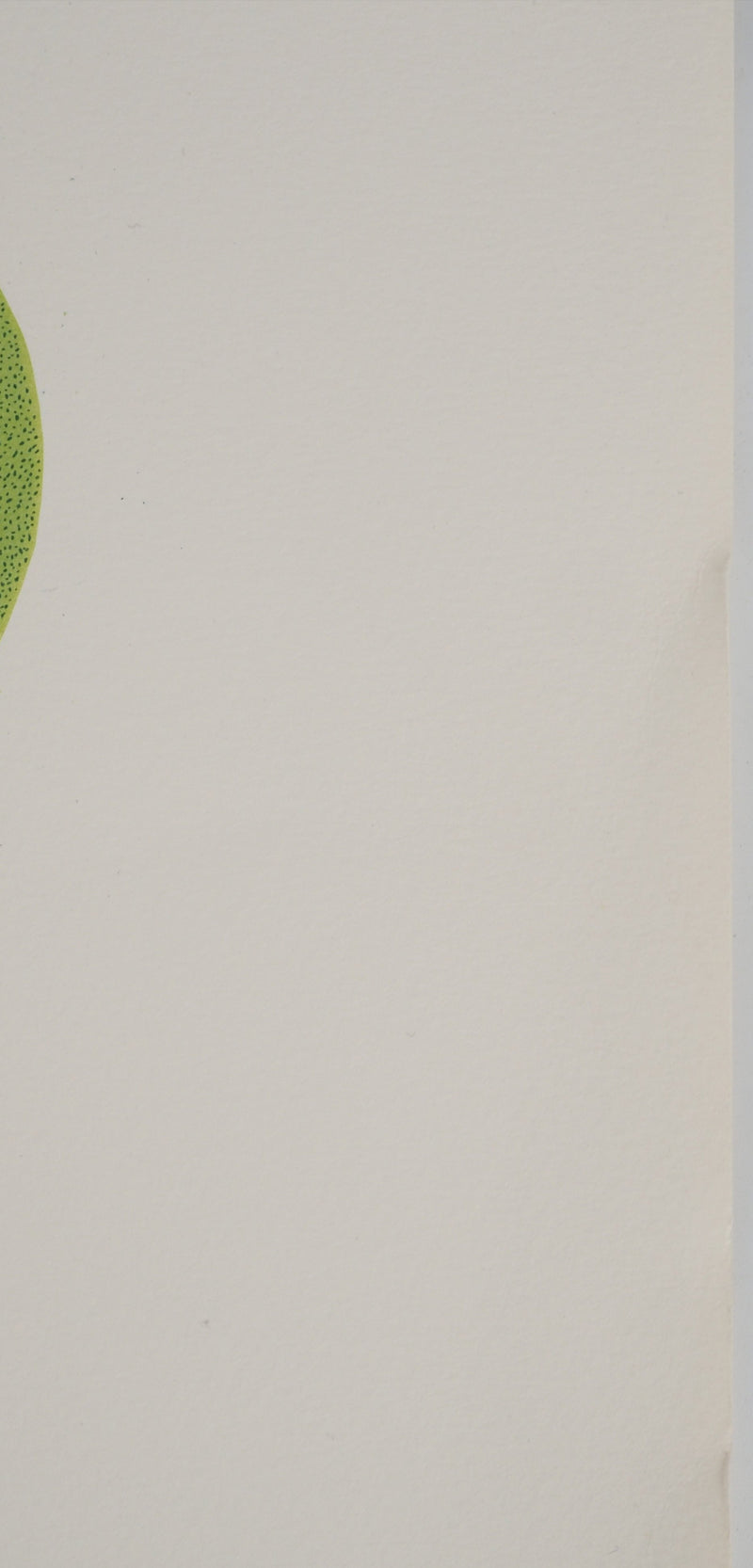 Isabel BAILLEN : La cueillette à la pomme, Lithographie originale (photo de détail 7) - Crédit photo : Galerie Art.Paris