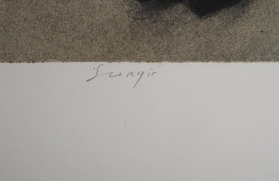Erik BERSOU : Surgir, Gravure originale (photo de détail 7) - Crédit photo : Galerie Art.Paris
