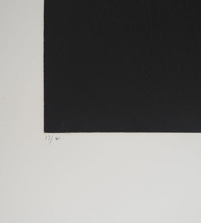 Erik BERSOU : Effondrement, Gravure originale (photo de détail 6) - Crédit photo : Galerie Art.Paris