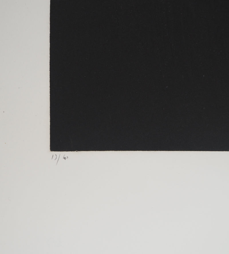 Erik BERSOU : Effondrement, Gravure originale (photo de détail 6) - Crédit photo : Galerie Art.Paris
