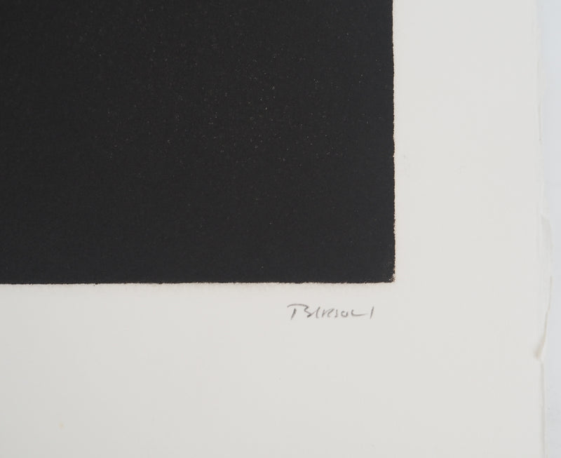 Erik BERSOU : Effondrement, Gravure originale (photo de détail 2) - Crédit photo : Galerie Art.Paris