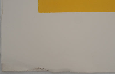 Pierre COLLIN : L'atelier à Conleau en jaune, 2e version, 1er état, Gravure originale (photo de détail 9) - Crédit photo : Galerie Art.Paris