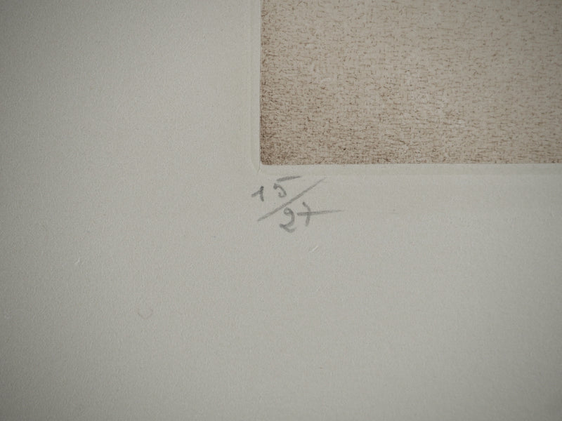 Cécile REIMS : Le cocon, Gravure originale (photo de détail 3) - Crédit photo : Galerie Art.Paris