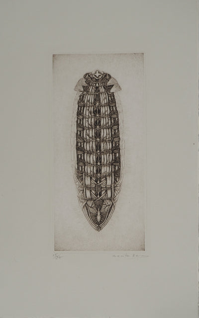 Cécile REIMS : Chrysalide, Gravure originale (vue générale) - Crédit photo : Galerie Art.Paris