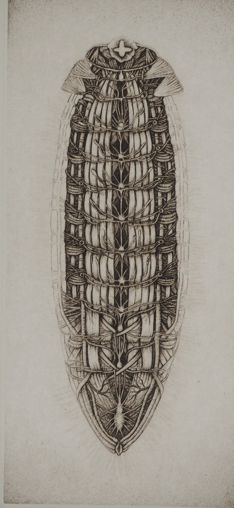 Cécile REIMS : Chrysalide, Gravure originale (photo de détail 2) - Crédit photo : Galerie Art.Paris