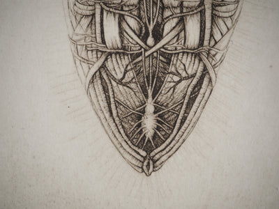 Cécile REIMS : Chrysalide, Gravure originale (photo de détail 5) - Crédit photo : Galerie Art.Paris