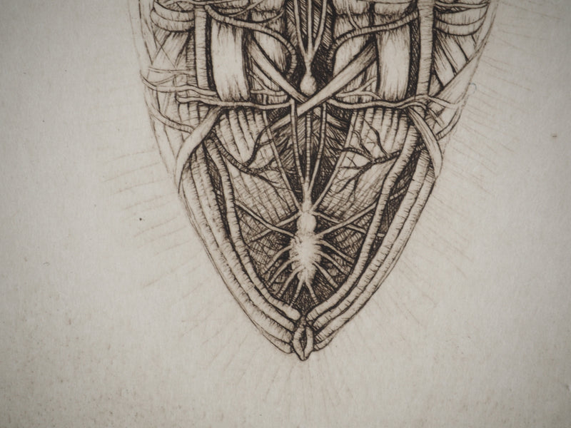 Cécile REIMS : Chrysalide, Gravure originale (photo de détail 5) - Crédit photo : Galerie Art.Paris