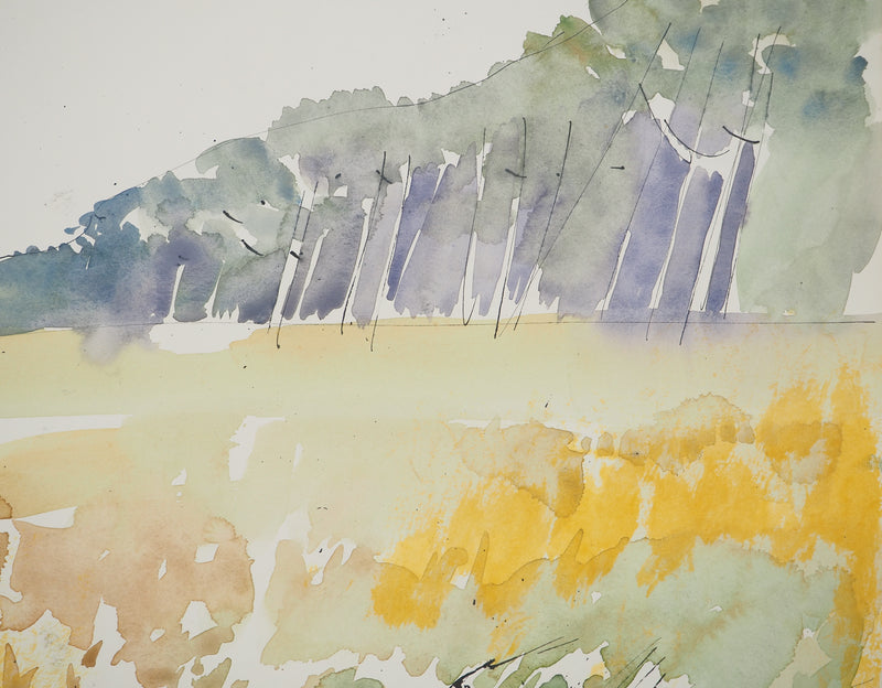 Maurice GENIS : Chemin de campagne, Aquarelle originale (photo de détail 3) - Crédit photo : Galerie Art.Paris