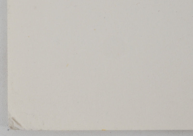 Maurice GENIS : Portrait aux paniers de fruits, Dessin original (photo de détail 6) - Crédit photo : Galerie Art.Paris