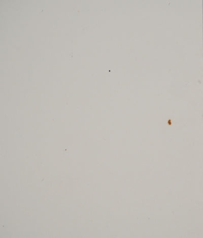 Maurice GENIS : Portrait aux paniers de fruits, Dessin original (photo de détail 5) - Crédit photo : Galerie Art.Paris