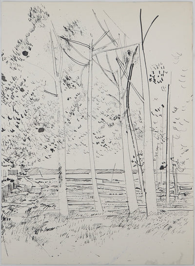Maurice GENIS : Promenade en forêt, Dessin original (vue générale) - Crédit photo : Galerie Art.Paris