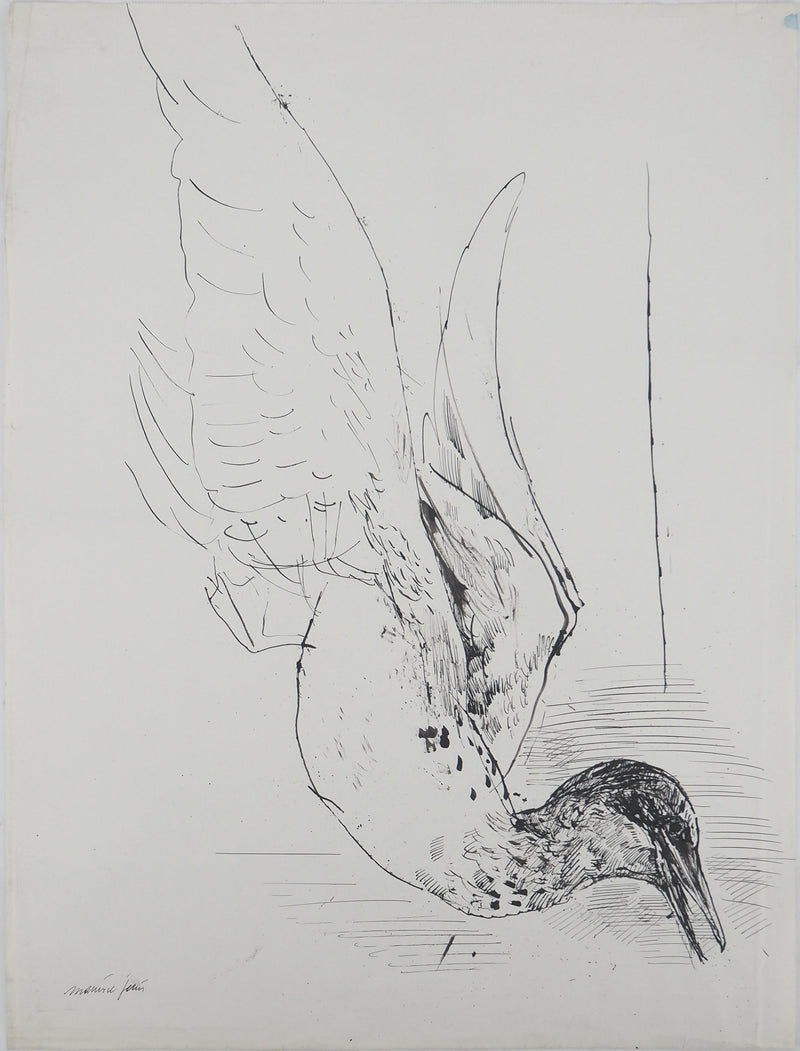 Maurice GENIS : Vol d&