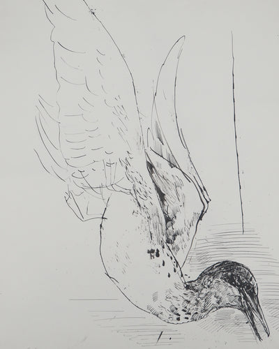Maurice GENIS : Vol d'oiseau, Dessin original (photo de détail 3) - Crédit photo : Galerie Art.Paris