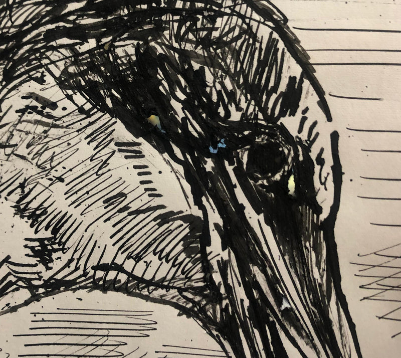 Maurice GENIS : Vol d&