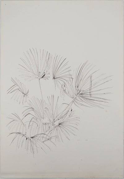 Maurice GENIS : Les pissenlits, Dessin original (vue générale) - Crédit photo : Galerie Art.Paris