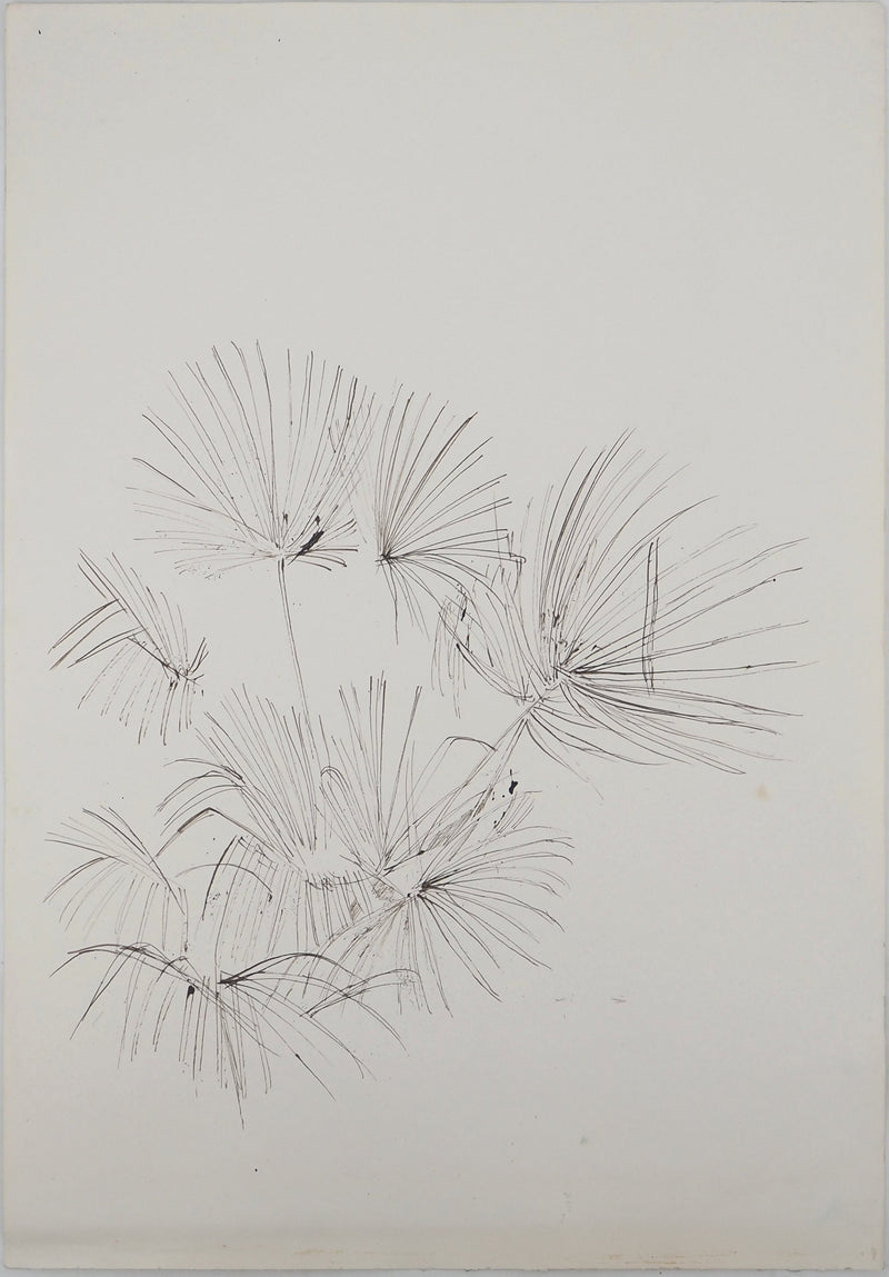 Maurice GENIS : Les pissenlits, Dessin original (vue générale) - Crédit photo : Galerie Art.Paris