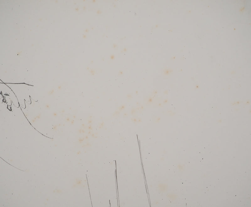 Maurice GENIS : Sous le soleil du sud, Dessin original (photo de détail 4) - Crédit photo : Galerie Art.Paris