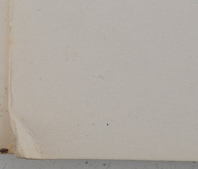 Maurice GENIS : Terrasse en Provence, Dessin original (photo de détail 5) - Crédit photo : Galerie Art.Paris