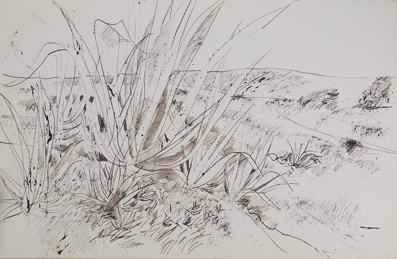 Maurice GENIS : Soleil et aloès, Dessin original (vue générale) - Crédit photo : Galerie Art.Paris