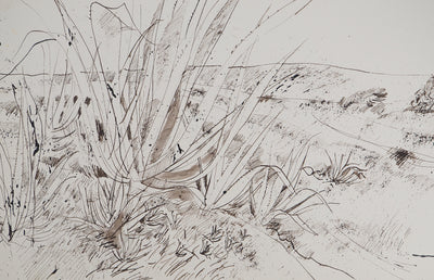 Maurice GENIS : Soleil et aloès, Dessin original (photo de détail 2) - Crédit photo : Galerie Art.Paris