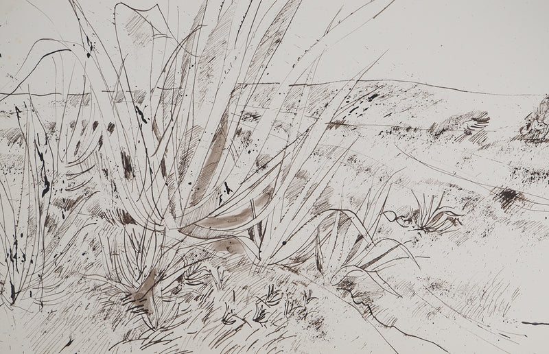 Maurice GENIS : Soleil et aloès, Dessin original (photo de détail 2) - Crédit photo : Galerie Art.Paris