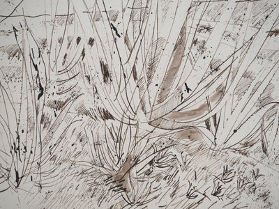 Maurice GENIS : Soleil et aloès, Dessin original (photo de détail 3) - Crédit photo : Galerie Art.Paris