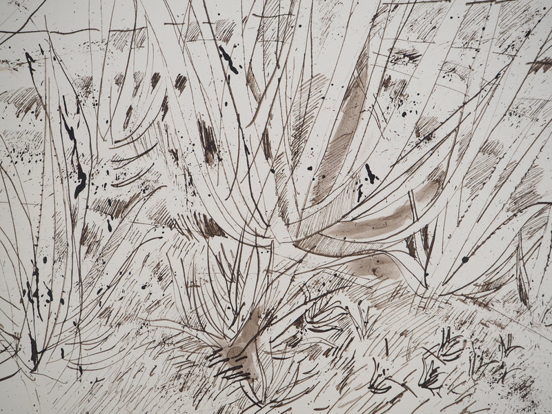 Maurice GENIS : Soleil et aloès, Dessin original (photo de détail 3) - Crédit photo : Galerie Art.Paris