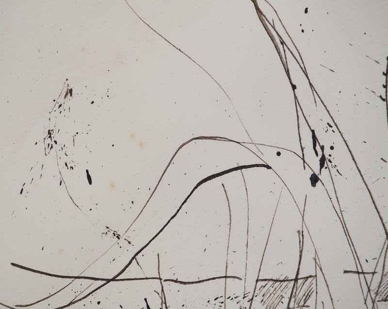 Maurice GENIS : Soleil et aloès, Dessin original (photo de détail 4) - Crédit photo : Galerie Art.Paris