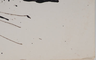Maurice GENIS : Soleil et aloès, Dessin original (photo de détail 5) - Crédit photo : Galerie Art.Paris