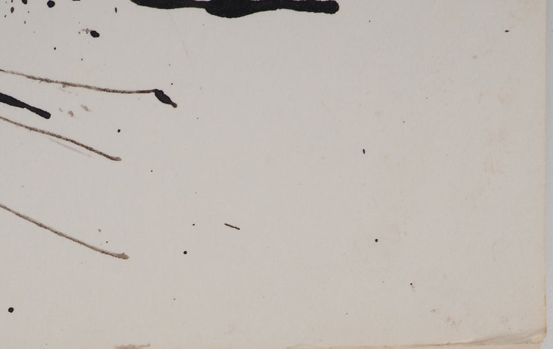 Maurice GENIS : Soleil et aloès, Dessin original (photo de détail 5) - Crédit photo : Galerie Art.Paris