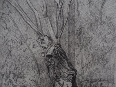 Léopold Franz KOWALSKI : Le cerf, c., Dessin original (photo de détail 4) - Crédit photo : Galerie Art.Paris