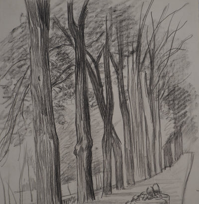 Léopold Franz KOWALSKI : Allée de platanes, c, Dessin original (photo de détail 3) - Crédit photo : Galerie Art.Paris